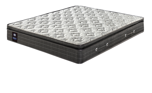 Sealy Tempo Mattress
